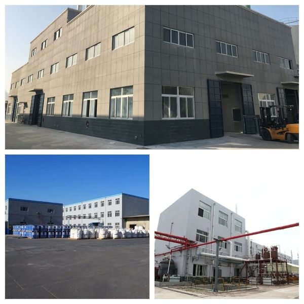 چین Shandong Jiuchong Chemical Co., Ltd. نمایه شرکت